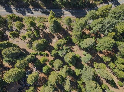 403 Sierra Parkway, Camp Connell, CA 95223 Photo