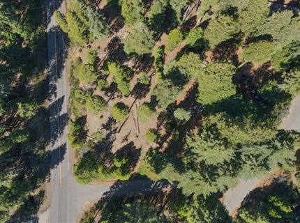 403 Sierra Parkway, Camp Connell, CA 95223 Photo