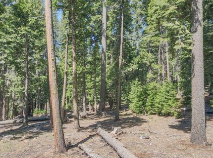 403 Sierra Parkway, Camp Connell, CA 95223 Photo