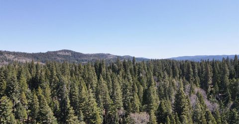 403 Sierra Parkway, Camp Connell, CA 95223 Photo