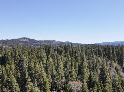 403 Sierra Parkway, Camp Connell, CA 95223 Photo