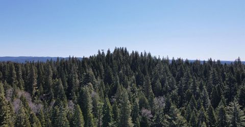 403 Sierra Parkway, Camp Connell, CA 95223 Photo