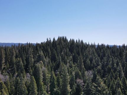 403 Sierra Parkway, Camp Connell, CA 95223 Photo