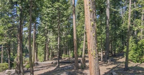 403 Sierra Parkway, Camp Connell, CA 95223 Photo