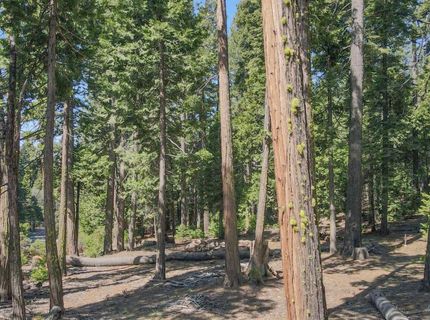 403 Sierra Parkway, Camp Connell, CA 95223 Photo