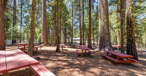 403 Sierra Parkway, Camp Connell, CA 95223 Photo