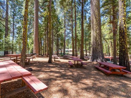 403 Sierra Parkway, Camp Connell, CA 95223 Photo