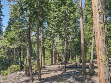 403 Sierra Parkway, Camp Connell, CA 95223 Photo