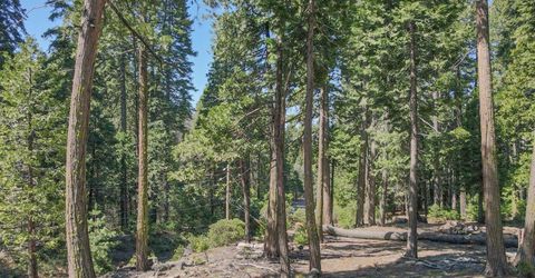 403 Sierra Parkway, Camp Connell, CA 95223 Photo