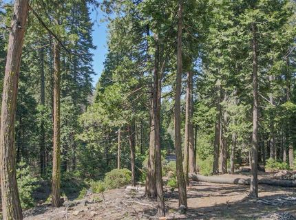 403 Sierra Parkway, Camp Connell, CA 95223 Photo