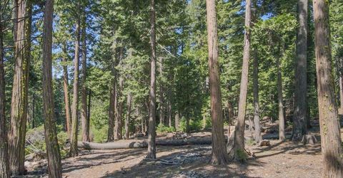 403 Sierra Parkway, Camp Connell, CA 95223 Photo