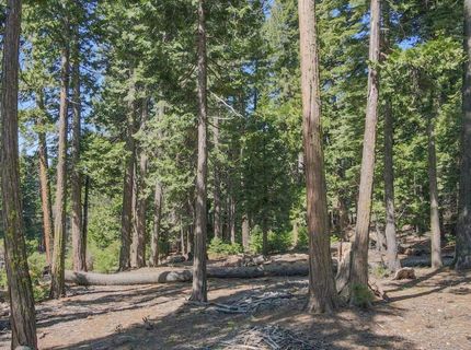 403 Sierra Parkway, Camp Connell, CA 95223 Photo