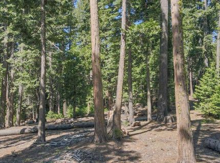 403 Sierra Parkway, Camp Connell, CA 95223 Photo