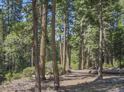 403 Sierra Parkway, Camp Connell, CA 95223 Photo