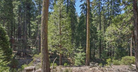 403 Sierra Parkway, Camp Connell, CA 95223 Photo