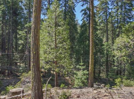 403 Sierra Parkway, Camp Connell, CA 95223 Photo