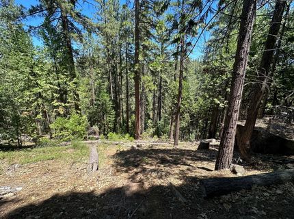 487 Canyon View Dr, Hathaway Pines, CA 95233 Photo
