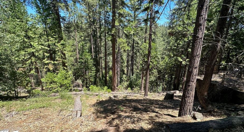 487 Canyon View Dr, Hathaway Pines, CA 95233 Photo