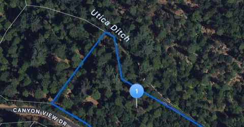 487 Canyon View Dr, Hathaway Pines, CA 95233 Photo