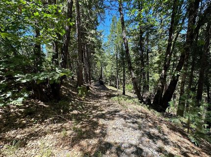 487 Canyon View Dr, Hathaway Pines, CA 95233 Photo