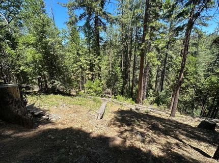 487 Canyon View Dr, Hathaway Pines, CA 95233 Photo