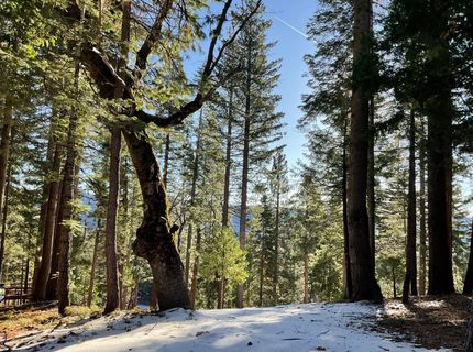 5186 Meko, Camp Connell, CA 95223 Photo