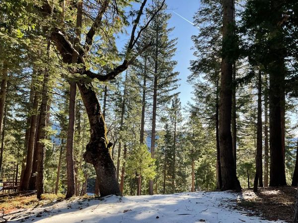5186 Meko, Camp Connell, CA 95223