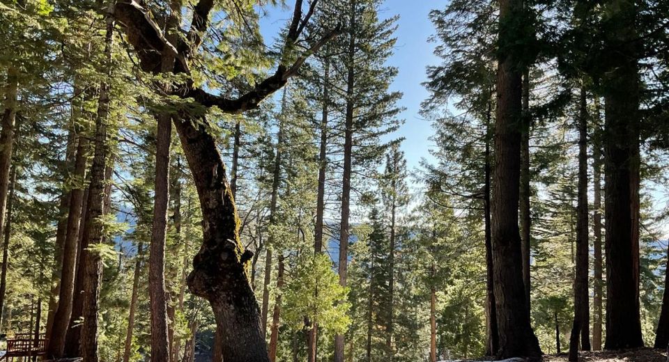 5186 Meko, Camp Connell, CA 95223 Photo