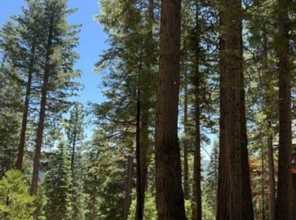 5186 Meko, Camp Connell, CA 95223 Photo