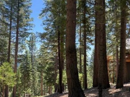 5186 Meko, Camp Connell, CA 95223 Photo