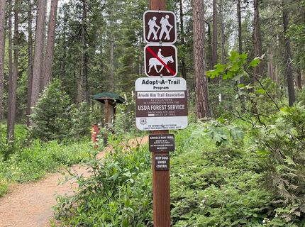 5186 Meko, Camp Connell, CA 95223 Photo