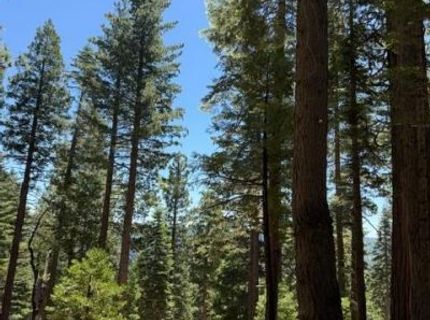 5186 Meko, Camp Connell, CA 95223 Photo