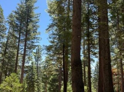 5186 Meko, Camp Connell, CA 95223 Photo