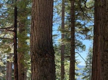 5186 Meko, Camp Connell, CA 95223 Photo