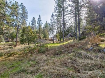 5633 Silver Saddle Dr, Hathaway Pines, CA 95233 Photo
