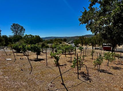 300 Bridlewood Ln, Copperopolis, CA 95228 Photo