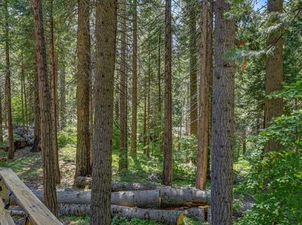 4341 Walapar Ln, Camp Connell, CA 95223 Photo