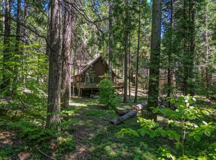 4341 Walapar Ln, Camp Connell, CA 95223 Photo