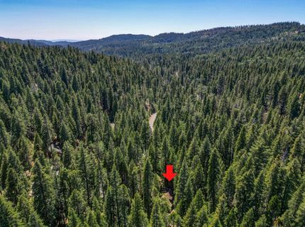4341 Walapar Ln, Camp Connell, CA 95223 Photo