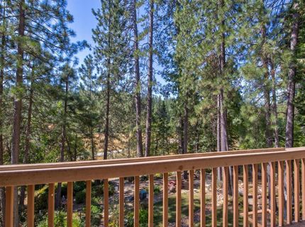105 Avery Sheep Ranch Rd, Avery, CA 95224 Photo