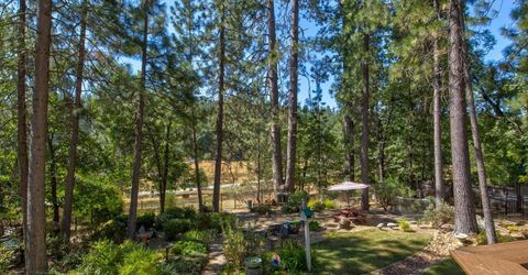 105 Avery Sheep Ranch Rd, Avery, CA 95224 Photo