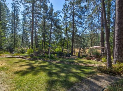 105 Avery Sheep Ranch Rd, Avery, CA 95224 Photo