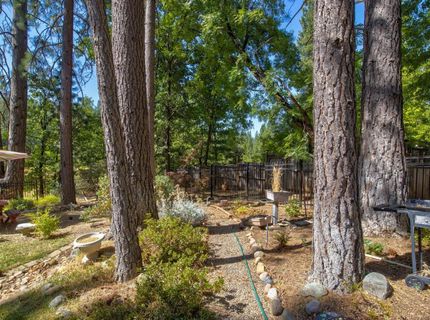 105 Avery Sheep Ranch Rd, Avery, CA 95224 Photo