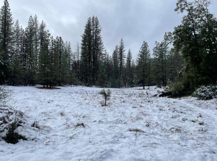 5863 Silver Saddle Dr, Hathaway Pines, CA 95233 Photo