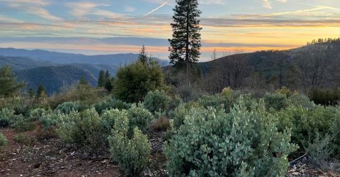 5863 Silver Saddle Dr, Hathaway Pines, CA 95233 Photo