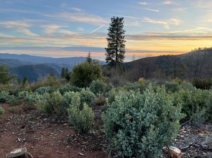 5863 Silver Saddle Dr, Hathaway Pines, CA 95233 Photo
