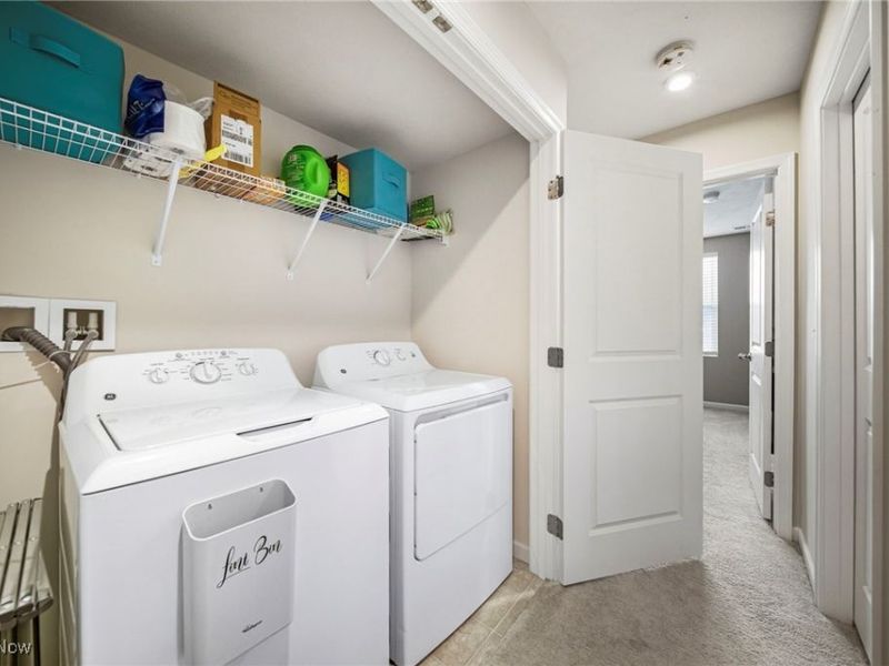 135 Grass Court, Painesville Township, OH 44077 Photo 33