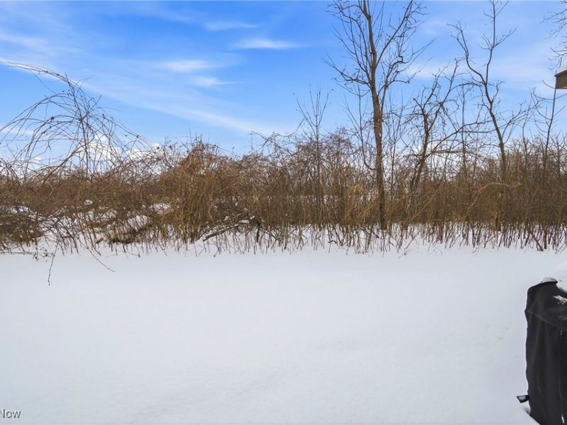 135 Grass Court, Painesville Township, OH 44077 Photo 6