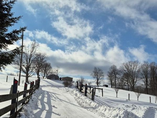 299 Old Stage Coach Rd, RAINELLE, WV 25962