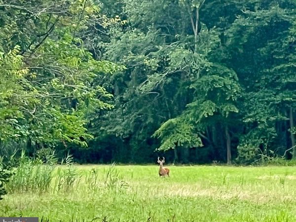 2600 CHURCH STREET, PORT NORRIS, NJ 08349